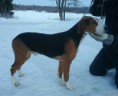 /album/kuvagalleria/mms-img-1870158834-jpg/